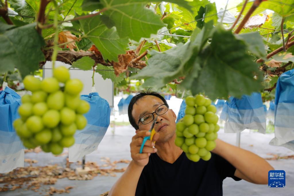 斗牛游戏大厅